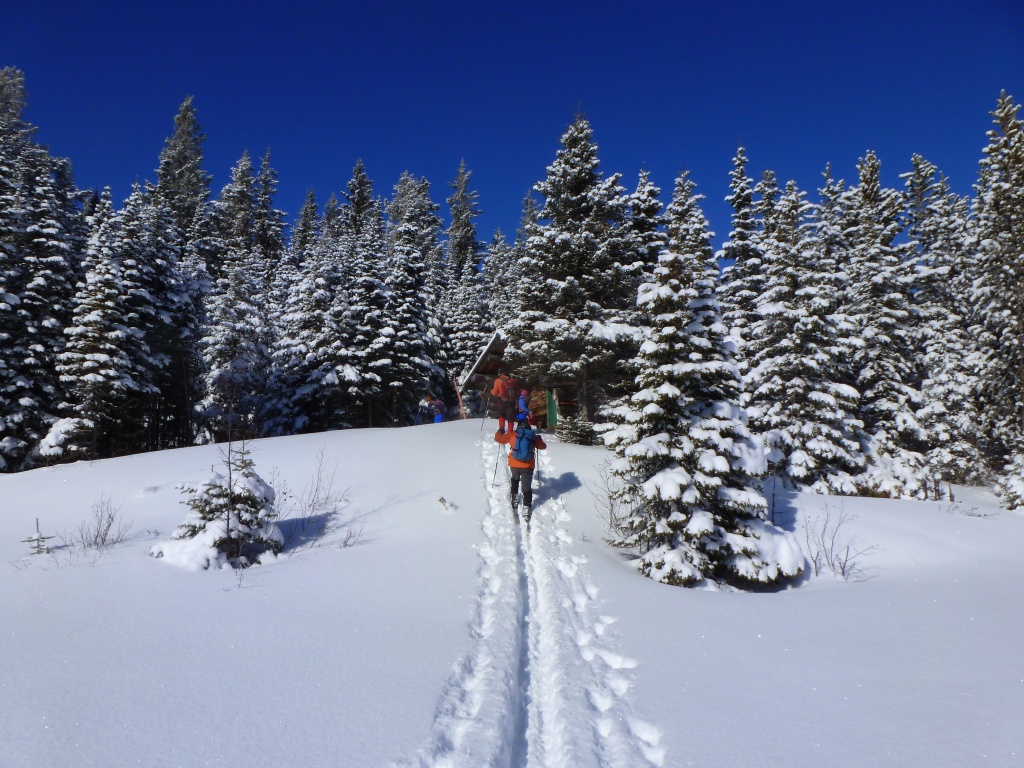 Hickory Wing Ski Touring Club Skiers on Trail